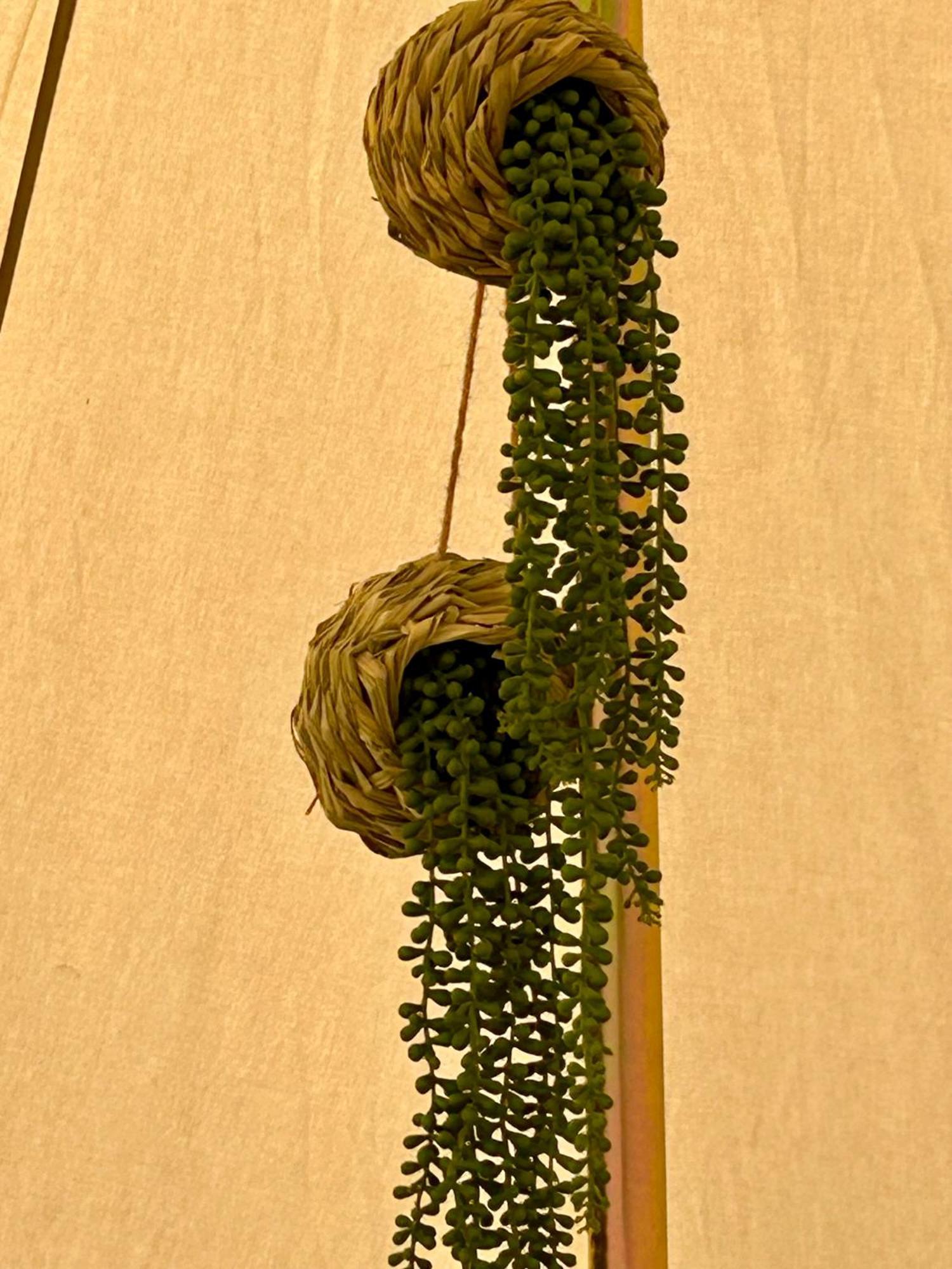Chambre Au Jardin Tente De Charme Eguzon-Chantome Exteriér fotografie